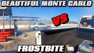 Frostbite Ram VS Beautiful Monte Carlo