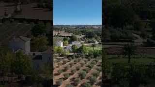 186-00800P, My country Villa in Ronda with Olive Grove, Villas & Fincas, Andalusia, Southern Spain