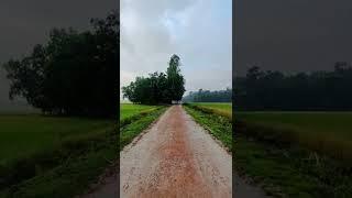 Morning walk on Village Road ASMR Morning Ambience #cinematic #ambience #morning