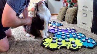 Comb, Kisses, And New Stuff For The Kitties!