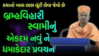 કથાનો લાભ લૂંટી લેવા જેવો છે ~ Brahmavihari Swami | BAPS Katha Pravachan | Swaminarayan Katha 2023