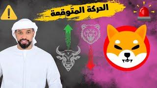 عملة شيبا Shiba inu coin هل تصل الى 0.00008$ خلال الايام القامة تابع لو مهتم -- 15/12/2024