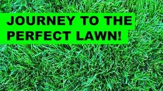 The Perfect Lawn, How it began