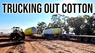 The Cotton is Away! | Cotton in Australia | Vlog 290