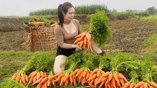 New day taking care of the Farm - Harvesting carrots-Going to the market to sell | Ngân Daily Life