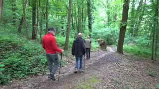 Luswandeling Schin op Geul - Valkenburg