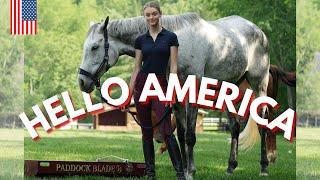 Willow Hand Introduces Paddock Blade to America! (World's Best Paddock Cleaner / Farm Trailer)