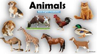 Animals Name | Learn Animals Name in English | Animals Name Basic English Learning  [Unit # 08]