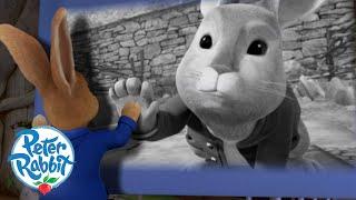 @Peter Rabbit - Meet Peter Rabbit’s Late Father  | Meet the Characters | Cartoons for Kids