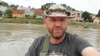 Donau   Kajak   Tour   2019 Aschach bis Ybbs