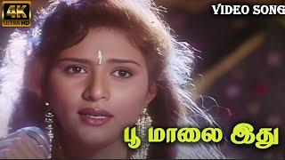 பூ மாலை இது| Poo Maalai Idhu | Solo Song| Sujatha Mohan| Manikka Vinayagam| PS Thenisaii