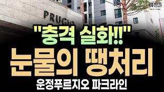 파주 운정푸르지오 파크라인 "눈물의 땡처리 2억 할인 합니다!!"