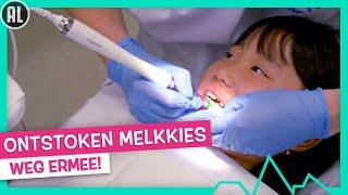 ONTSTOKEN MELKKIES TREKKEN  - TOPDOKS