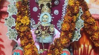LIVE || Satsang Kathamrut ||Night Katha- 30/12/2020|| Bhaktinandan Swami-Muli @ Halvad Junu Mandir