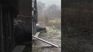 Цена страдания-понимание других #мудрость#человечность #жизнь