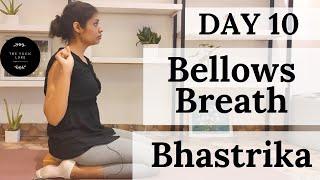 Day 10 - Easy Breathing Practices - Bhastrika ( Bellows Breath )