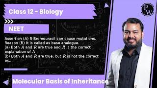 Assertion (A) 5-Bromouracil can cause mutations. Reason (R) It is called as base analogue. (a) Bo...