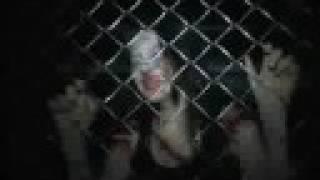 The Mansion of Terror Haunted House 2009 -  Directors Cut