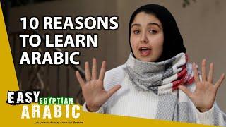 10 Reasons to Learn Arabic | Easy Egyptian Arabic 56