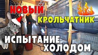 Новый крольчатник / Испытание холодом