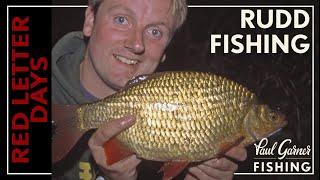 Rudd Fishing : Rudd Feeder Rigs & Rudd Baits