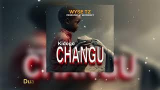 Wyse - KIDOGO CHANGU (AUDIO LYRICS)