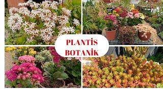 Muhteşem Bitkiler @plantisbotanik1813  de Denizli Sera, Botanik ,Fidanlik.
