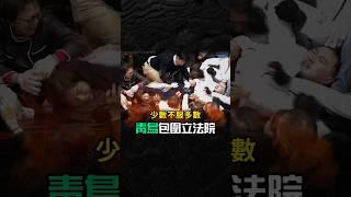 【民主就是尊重多數‍️】中共不可怕，貪戀權力又說謊成性的總統政客們才可怕。#立法院 #民主 #政治 #民進黨 #賴清德 #柯文哲