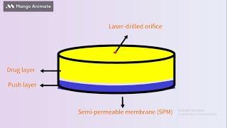 Push-Pull osmotic pump animation