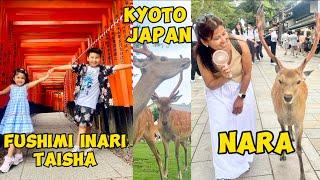 Nara- best experience with Deer ll Fushimi Inari visit ll Mochi pounding in Nara ll Kyoto- Japan