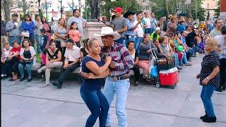 Omar y Flor cuando eran felices #viral #tiktok #shorts #chihuahua