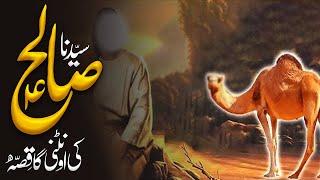 Qoum e Samood Aur Hazrat Saleh (A.S): A Tale of Warning and Wisdom**  | Noor Islamic