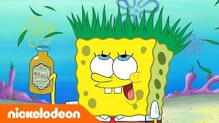 Bob l'éponge | M. Krabs et Plankton sont amis ? | Nickelodeon France