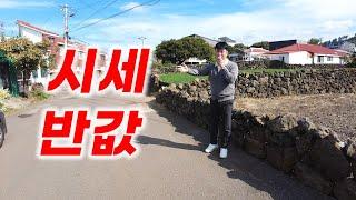 충격적인 제주도 토지의 현실 L-327 제주도 애월도 이제 반값 매물이 나오네요