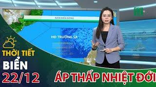 Áp thấp nhiệt đới trên biển Đông | VTC14