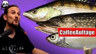 Russian Fishing 4 - Wolchow - Top Silber!  Caffée-Aufträge am Wolchow