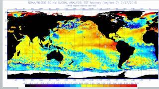 El Niño Update 3