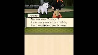 OFTP : Village Yakushi (Okamiden en français)