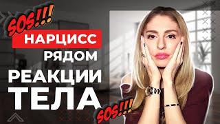 Реакции тела на абьюз | Психосоматика при абьюзе