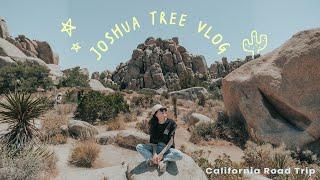 TRAVEL VLOG |  UCLA參加弟弟畢典 還在Joshua Tree找到一個沒聽過的小鎮！ 好像到了西部電影裡面快收藏起來！