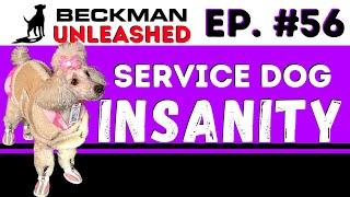 Service Dog's should be for the people who need them! Navigating the craziness of the current system