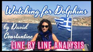 Watching for Dolphins by David Constantine - Detailed Analysis