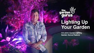 Holman Garden Lights with The Garden Gurus