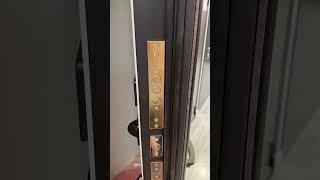 Входная дверь Dorston Dark, ￼с зеркалом