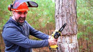 Testing the Smallest Chainsaw on Amazon! Felling a HUGE TREE! 