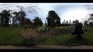 This is me being Zen with peacocks at Beacon Hill with animals in 360 video for vr