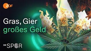 JuicyFields – Der größte Cannabis-Betrug aller Zeiten | Die Spur