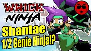 Shantae, True Indie Kunoichi? - Which Ninja