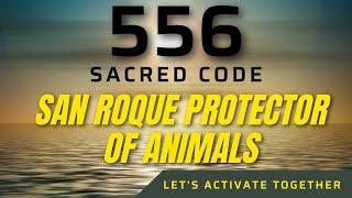 Sacred Code 556 SAN ROQUE PROTECTOR OF ANIMALS 