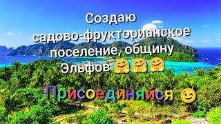 Рассказываю подробно, о действиях. Четвёртое видео.